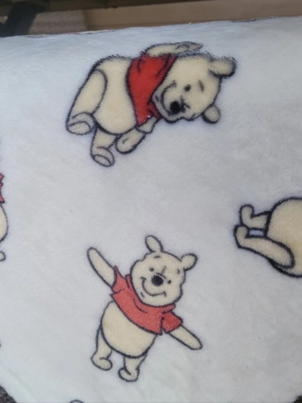 Disney Winnie the Pooh Fleece